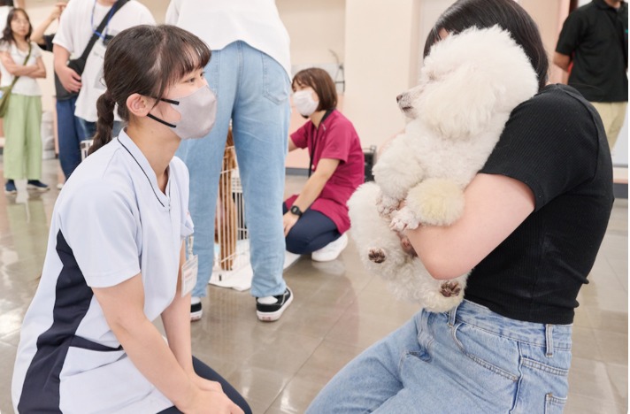 #イベント#キャンパス#専門学校#東京#大阪#ペットサロン #犬 #猫
